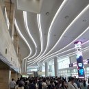 2026 경기미 김밥페스타 둘쨋날 방문후기