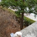 모란공작소 이미지