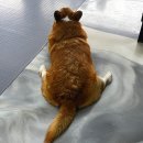 구름뜬하늘 이미지