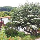 노적애뜰 이미지