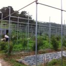 미수농장 이미지