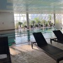 호텔 다다-인사 | 서울 메이필드 호텔 베베핀 패키지 17개월 아기랑 하우스룸 숙박 후기