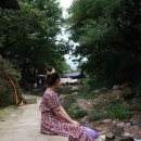 미니블리 | 여름원피스추천 플라워셔링원피스 여성쇼핑몰 임블리 '우아플라워 반팔롱원피스' 아담블리 후기