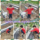 민성이 농장 이미지