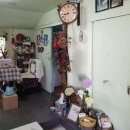 제주몽돌 이미지