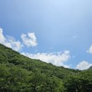 뱀사골산채식당 이미지