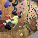 더파이터태권도장 이미지