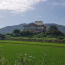 국제친환경농산