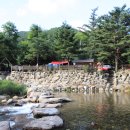 계곡과느티나무 캠핑장 이미지