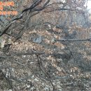 안촌경로당 이미지