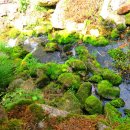 오전약수관광지 이미지