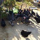 남문농장 이미지