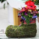 인플라워 이미지