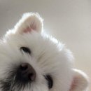 오전의 케이크 이미지