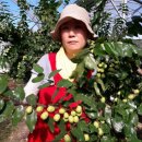 성리농장 이미지