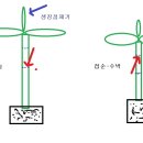 수박 맞접하기 이미지