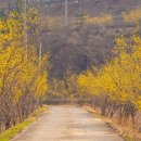 예곡마을회관 이미지