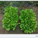 무랑농장 이미지