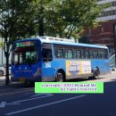 칠성시장네거리 농협 앞 이미지