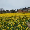 지리산(광주) 이미지