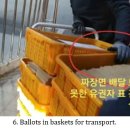 Possible Rigged Elections in South Korea 이미지