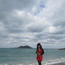 제주 아리랑 이미지