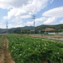 고령농장(2) 이미지