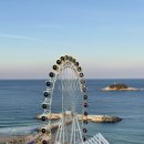 르컬렉티브속초해변 | 속초해변 도보 1분, 속초아이뷰 르컬렉티브 속초해변 후기(스튜디오 오션룸 솔직리뷰)