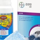 주성축산 이미지