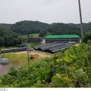 연천군 군남면 황지리