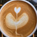 빈드럭스 | [광주●동구]감성 가득한 동구 빈드럭스 카페/ 여유로운 하루 빈드럭스후기/2025.9.28