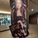 세번째 콘서트 | 일상기록 #5] 머글의 2025 엔믹스 콘서트 <EPISODE 1: ZERO FRONTIER> 후기(팬심이 커야 앉을 수 있는...