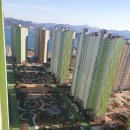 월영동176 이미지