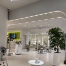 카시아미용실 | 삼성역미용실 에코쟈댕코엑스삼성점 강희선부원장님 두피스파, 커트 추천