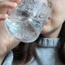 디일오 | 신장디톡스 베시드몰 디일오공(D150) 찐해독 후기