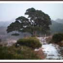 산솔마을 이미지