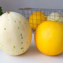 백자농장 이미지