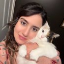 애묘(고양이)백과 - 터키시 반 (Turkish Van) 이미지