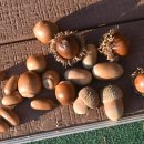 열매이야기 이미지