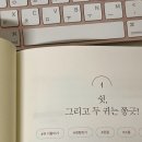 📚[나음쌤-준비해볼까요ღ] 유*초 이음 교육 도서후기/유치원/어린이집/만 5세 담임교사/예비 초등 엄마...