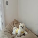 백화펜션 이미지