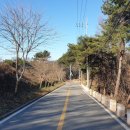 계남1리 이미지