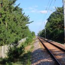 등명해변(철길옆) 이미지