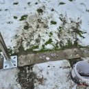 초성초등학교 이미지