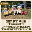 아이꽃 - 안양시 동안구 갈산로 49 | 2026 효돈 감귤꽃축제 다녀온 후기, 아이와 함께 즐긴 체험 가득한 서귀포 봄축제