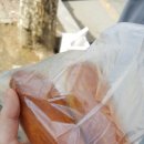 눈섬베이커리 이미지