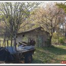 덕과면 덕동마을 이미지