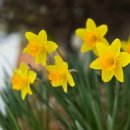 함평군농업기술센터 | 함평군 카페 맛집, 함평군농업기술센터 함소카페 소개