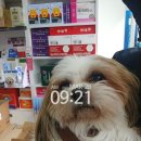 늘온누리약국 이미지