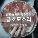 금호약국 | [금호동] 금호동 맛집 모소리 한판 특수부위 제대로 즐긴 금호동 고기집 후기